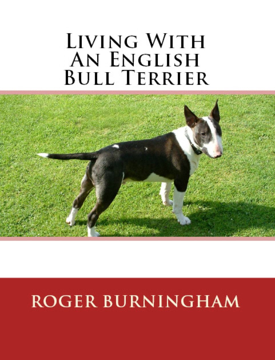 eBook | Living with an English Bull Terrier